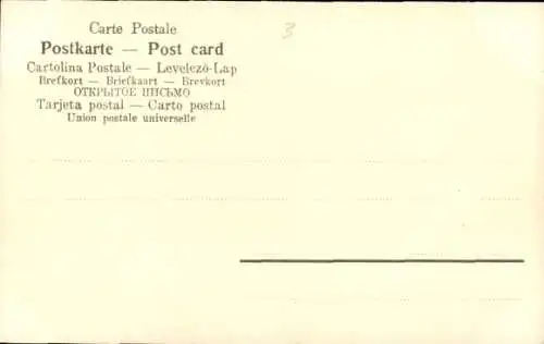 Ak Rüdesheim am Rhein, Panorama