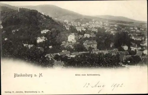 Ak Blankenburg am Harz, Blick vom Schlossberg, Gesamtansicht