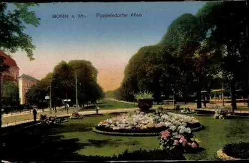 Ak Bonn am Rhein, Poppelsdorfer Allee