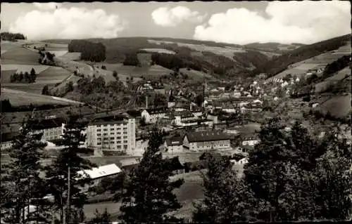 Ak Ludwigsstadt in Oberfranken, Fabrikgebäude, Neubau, Panorama