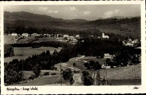 Ak Spiegelau im Bayerischen Wald Niederbayern, Panorama