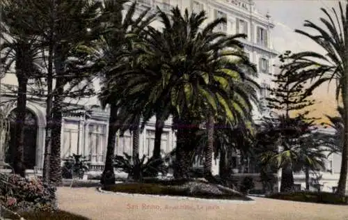 Ak San Remo Ligurien, Royal Hotel, Palmen