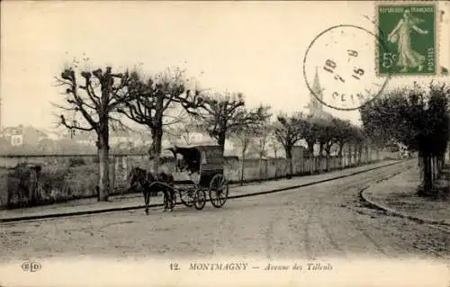 Ak Montmagny Val d’Oise, Avenue des Tilleuls