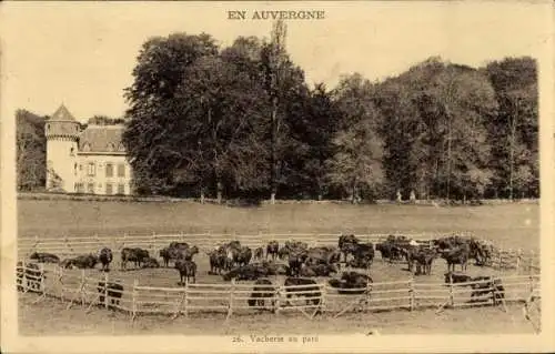 Ak Auvergne, Vacherie au parc