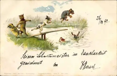 Litho Hunde springen von einem Steg ins Wasser