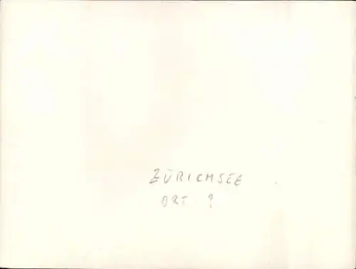Foto Ak Schweiz, Ort am Zürichsee, Teilansicht