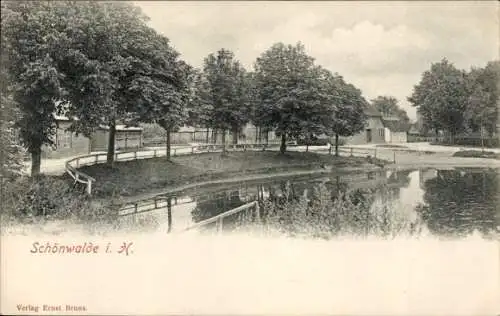 Ak Schönwalde am Bungsberg in Holstein, Teilansicht, Teich