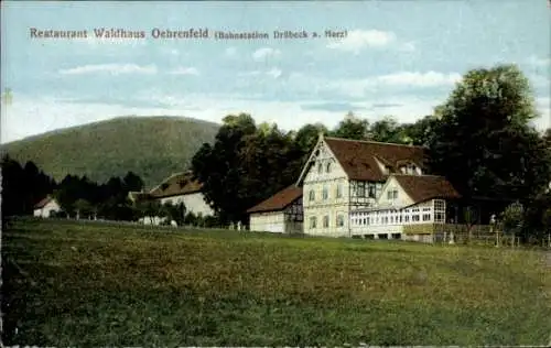 Ak Oehrenfeld Drübeck Ilsenburg im Harz, Restaurant Waldhaus