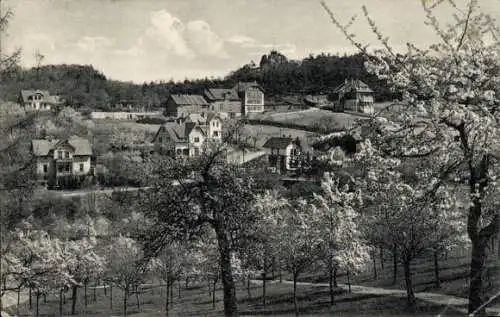 Ak Blankenburg am Harz, Teufelsmauer, Hotel und Pension Großvater, Baumblüte