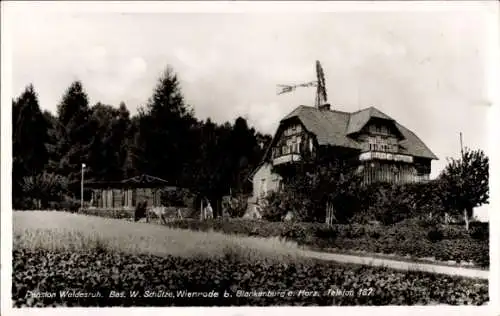 Ak Wienrode Blankenburg am Harz, Pension Waldesruh