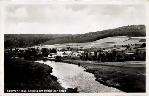 Ak Sörnzig Seelitz Sachsen, Gasthaus Sörnzig, Inh. Bellmann, Rochlitzer Berg