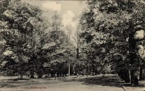 Ak Southampton Hampshire England, Avenue