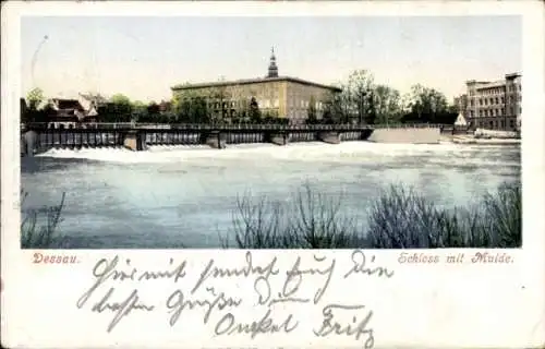 Ak Dessau in Sachsen Anhalt, Schloss, Mulde