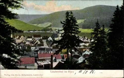 Ak Lautenthal Langelsheim am Harz, Gesamtansicht