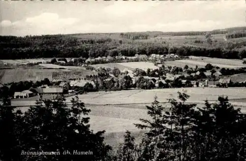 Ak Brünnighausen Coppenbrügge Niedersachsen, Panorama