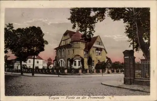 Ak Torgau an der Elbe, Promenade