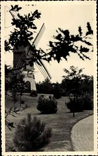 Ak Niederlande, Windmühle