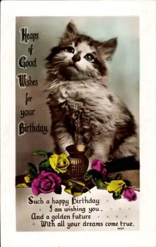 Ak Glückwunsch zum Geburtstag, junge Katze, Rosen