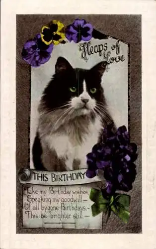 Ak Glückwunsch zum Geburtstag, schwarz-weiße Katze, Blumen