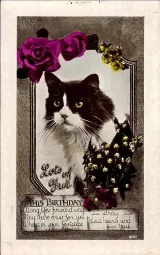 Ak Glückwunsch zum Geburtstag, schwarz-weiße Katze, Blumen