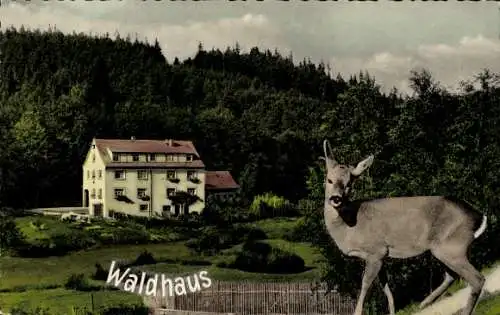 Ak Hessenthal Mespelbrunn im Spessart, Gaststätte Pension Waldhaus, Reh