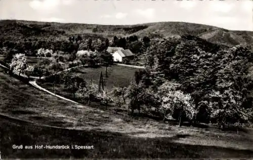 Ak Eschau im Spessart, Gasthaus Hof Hundsrück