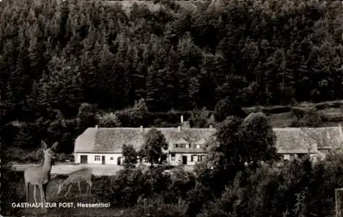 Ak Hessenthal Mespelbrunn im Spessart, Gasthaus zur Post, Rehe