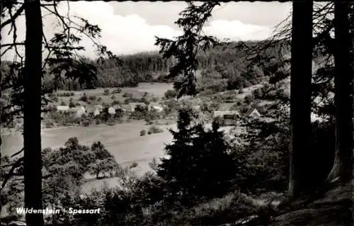 Ak Wildenstein Eschau im Spessart, Totalansicht