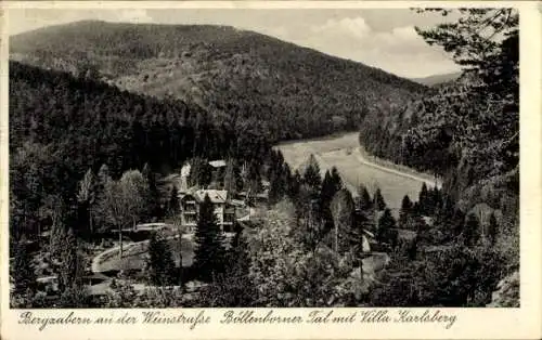 Ak Bad Bergzabern an der Weinstraße Pfalz, Böllenborner Tal, Villa Karlsberg