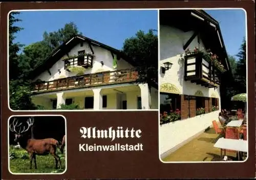 Ak Kleinwallstadt in Unterfranken, Almhütte, Rotwild, Balkon, Terrasse