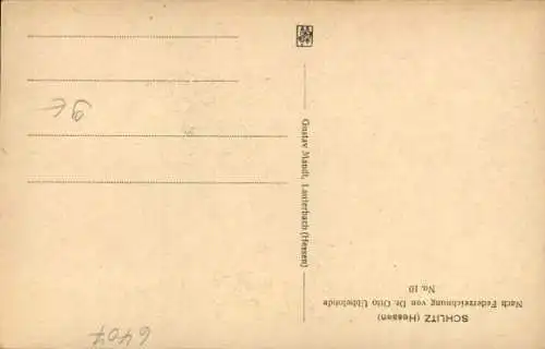 Künstler Ak Schlitz in Hessen, Teilansicht, Federzeichnung