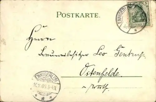 Litho Gämsen im Gebirge