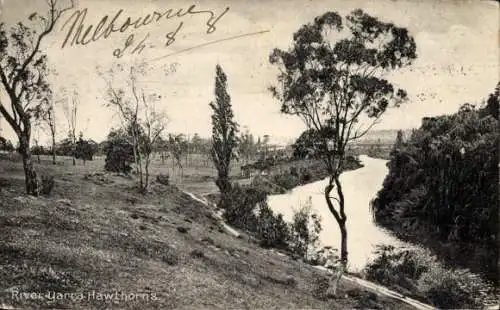 Ak Melbourne Australien, Yarra River, Hawthorn