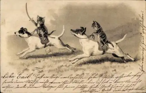 Präge Ak Junge Katzen reiten auf Terriern in die Schlacht