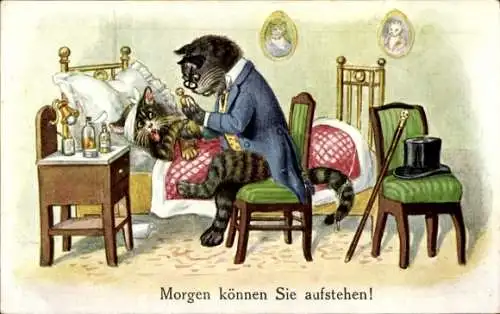 Künstler Ak Vermenschlichte Katzen, Doktor, Morgen können Sie aufstehen