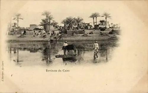 Ak Cairo Kairo Ägypten, Ort vom Wasser aus gesehen, Palmen