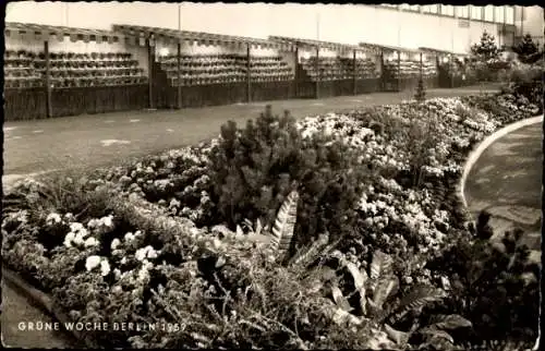 Ak Berlin, Grüne Woche 1959