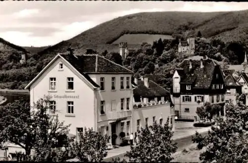 Ak Neckarsteinach in Hessen, Hotel Schwalbennest