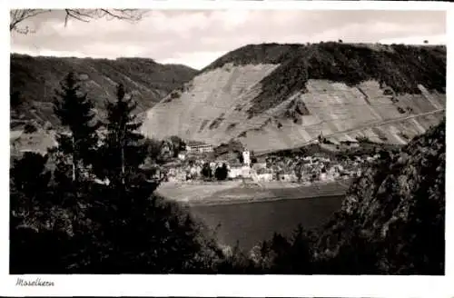 Ak Moselkern an der Mosel, Gesamtansicht