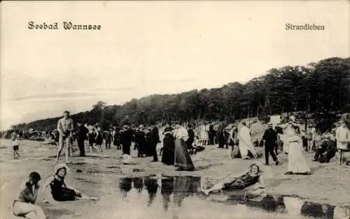 Ak Berlin Zehlendorf Wannsee, Strandleben im Seebad