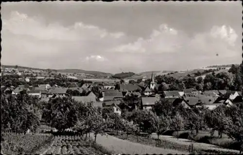 Ak Fränkisch Crumbach im Odenwald, Panorama