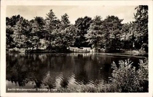 Ak Berlin Reinickendorf Waidmannslust, Steinberg-Park