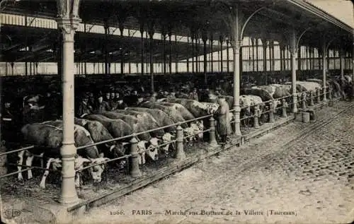 Ak Paris 19. Jahrhundert La Villette, Viehmarkt