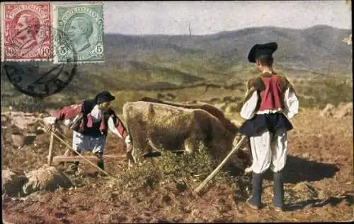 Ak Menschen in italienischer Volkstracht, Landwirtschaft, Bauern, Pflug, Rinder