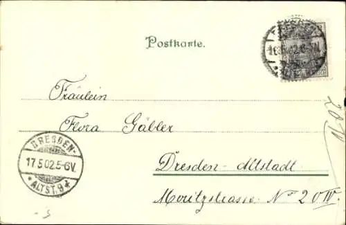 Ak Glückwunsch Pfingsten, Birken, Vogel