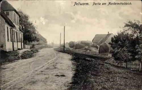 Ak Insel Pellworm Nordfriesland, Partie am Nordermitteldeich