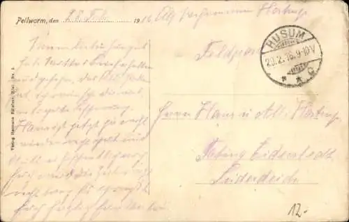 Ak Insel Pellworm Nordfriesland, Partie am Nordermitteldeich