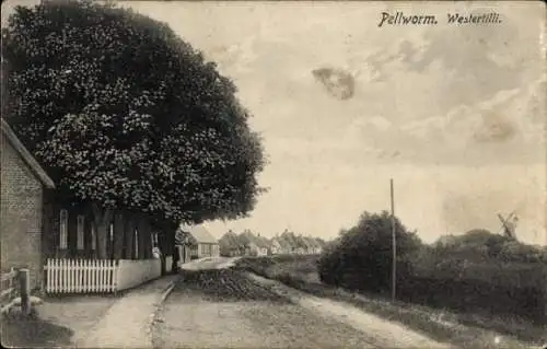 Ak Insel Pellworm Nordfriesland, Westertilli