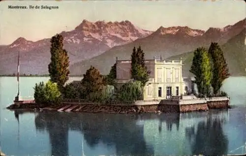 Ak Montreux Kanton Waadt Schweiz, Île de Salagnon, Lac Léman
