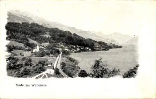 Ak Mols Quarten Kanton St. Gallen, Gesamtansicht, Wallensee